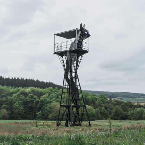 Cat lookout tower made of steel with a view of nature